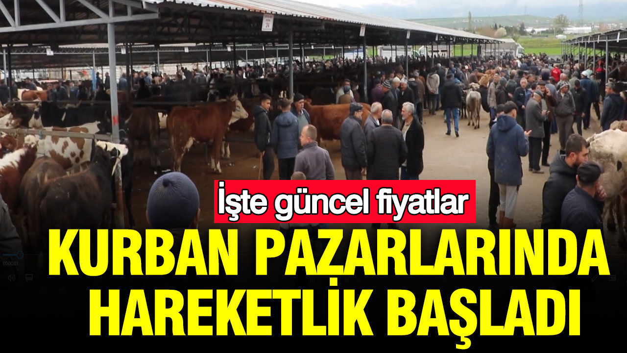 Kurban Pazarlarında Alım Satım Hareketliliği: Güncel Fiyatlar
