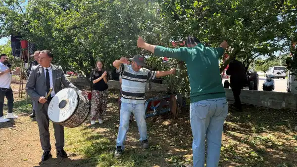 Erik Hasadı Coşkuyla Yapıldı: Rekolte Dört Kat Artış Gösterdi