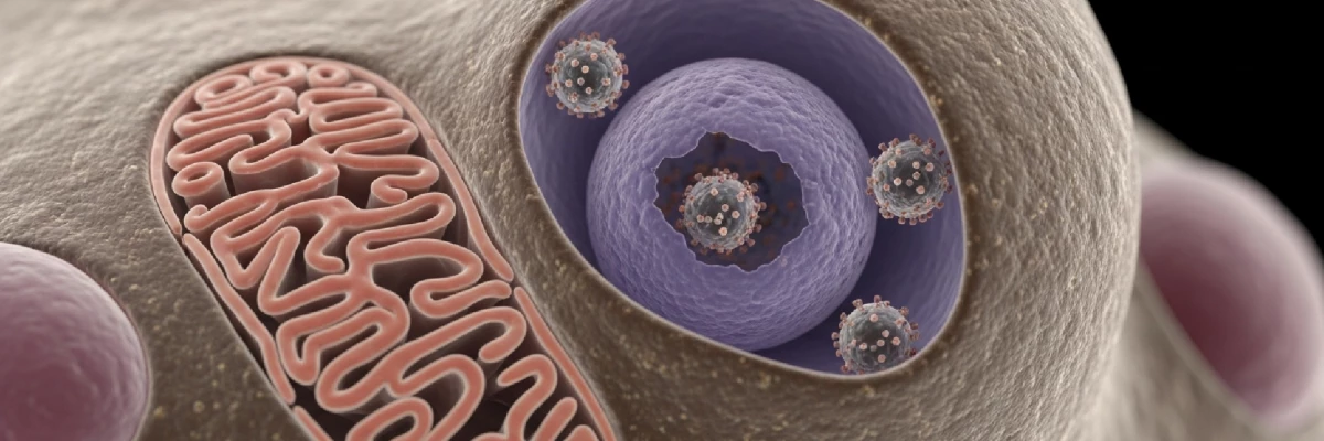 HPV Aşısı Hakkında Bilinmesi Gerekenler
